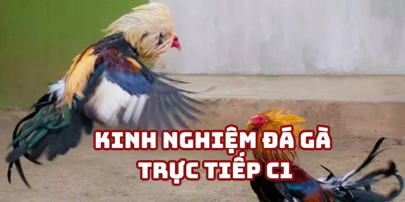 Kinh nghiệm từ các cao thủ để thắng lớn