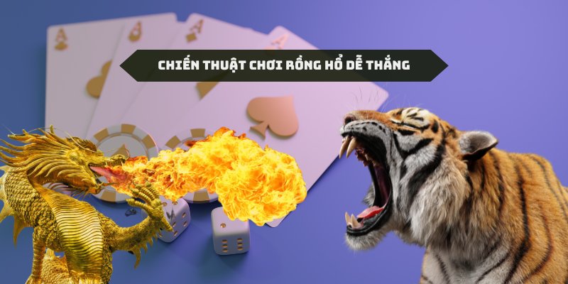 Áp dụng các bí kíp trong cách chơi rồng hổ dễ thắng của chuyên gia Oxbet