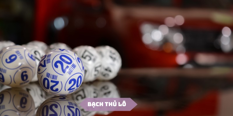 Bạch thủ lô Oxbet