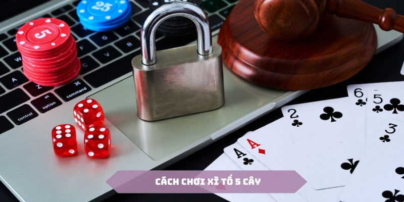 Cách chơi xì tố 5 cây Oxbet