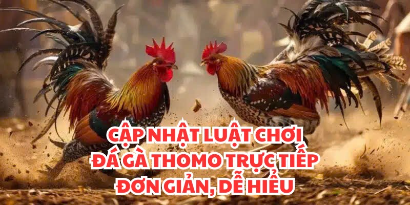 Cập nhật luật chơi đá gà thomo trực tiếp từ A tới Z