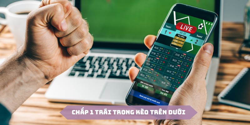 Chấp 1 trái được nhiều hội viên lựa chọn bởi khả năng hòa vốn cao