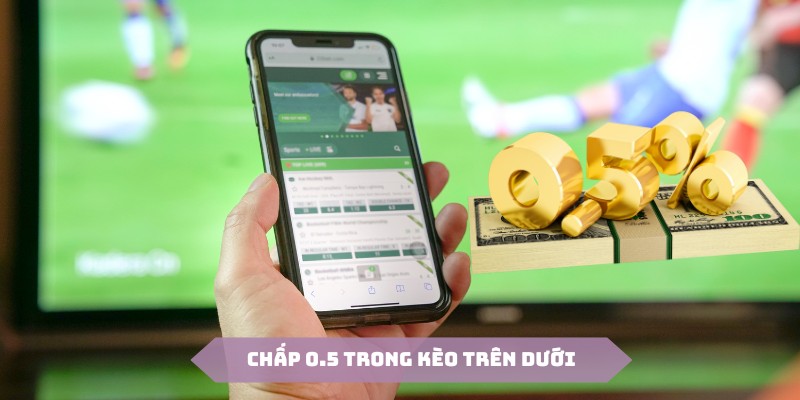 Chấp nửa trái là tỷ lệ thông dụng trong kèo trên dưới là gì