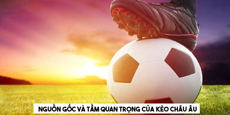 Nguồn gốc và tầm quan trọng của kèo châu Âu 