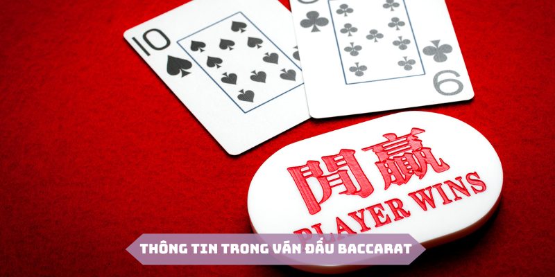 Những thông tin mà hội viên nên check trong cách bắt kèo Baccarat