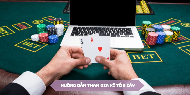 Tham gia bài xì tố 5 cây với các bước hướng dẫn đơn giản